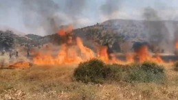 Adana’da 8 dönüm buğday hasat edilemeden yandı