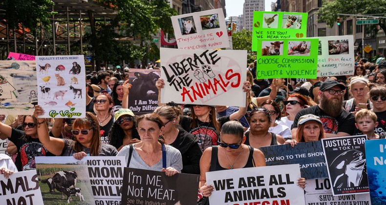New York’ta vegan eylemi