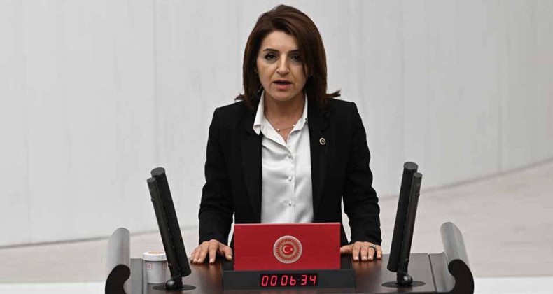 CHP’li Mersin Milletvekili Gülcan Kış: Vatandaşlar sadece kiraya çalışıyor