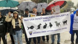 Mülkiye İzmir Hayvan Hakları Grubu: “Hayvan Deneylerinden Vazgeçin”