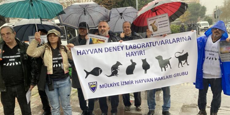 Mülkiye İzmir Hayvan Hakları Grubu: “Hayvan Deneylerinden Vazgeçin”