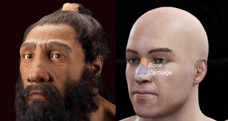 Uzun Burun Şekillerimiz Neandertallerden Miras Kalmış
