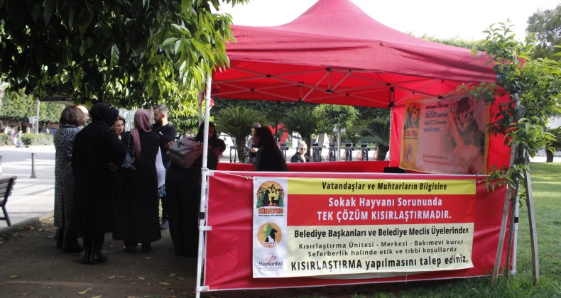 Adana’da Hayvan Hakları Çağrı Masası kuruldu