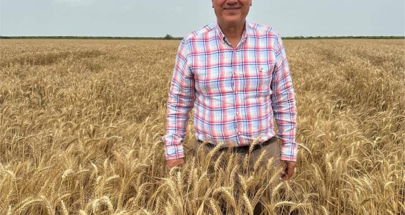 CHP Adana Milletvekili Barut: “Buğday taban fiyatı en az 15 lira olmalı”