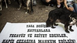 Şirine’yi 4. kattan attığı iddia edilen Elanur Pilici, hakim karşısında