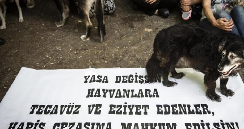 Şirine’yi 4. kattan attığı iddia edilen Elanur Pilici, hakim karşısında