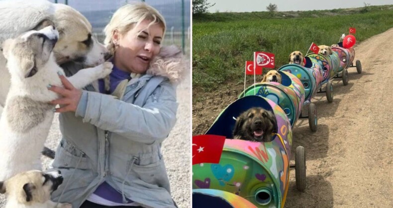 Köpek Velisi’nin tutuklanmasına tepkiler artıyor