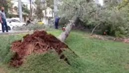 Antep’te şiddetli rüzgar zor anlar yaşattı