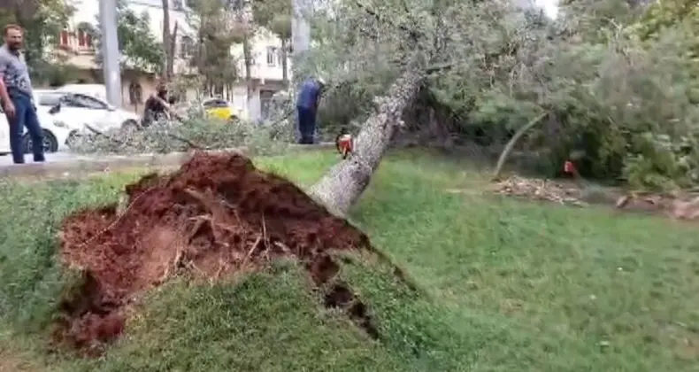 Antep’te şiddetli rüzgar zor anlar yaşattı