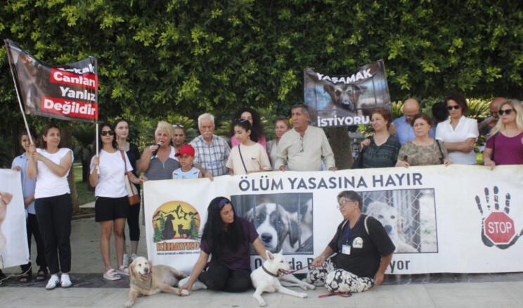 Adana’da Hayvan Hakları Aktivistlerinden Ortak Basın Toplantısı