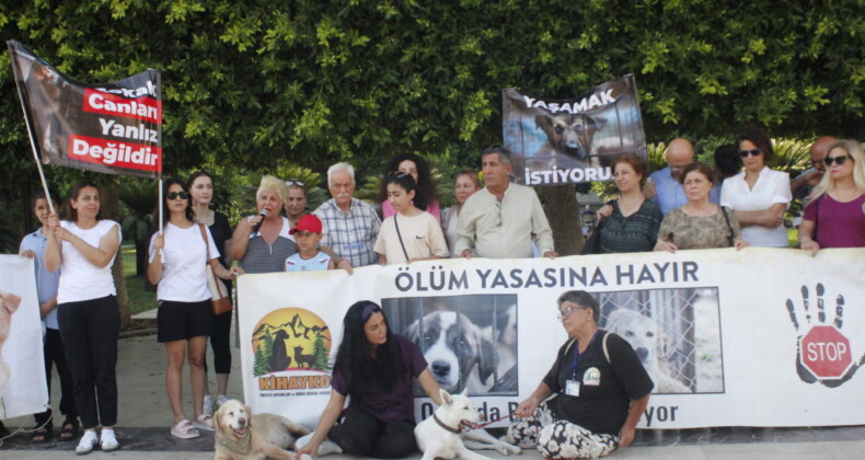 Adana’da Hayvan Hakları Aktivistlerinden Ortak Basın Toplantısı