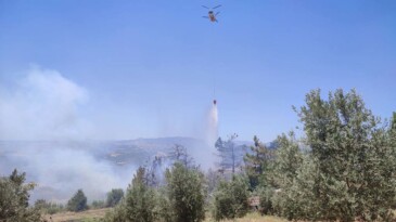 Adana’da orman yangını: Müdahale sürüyor