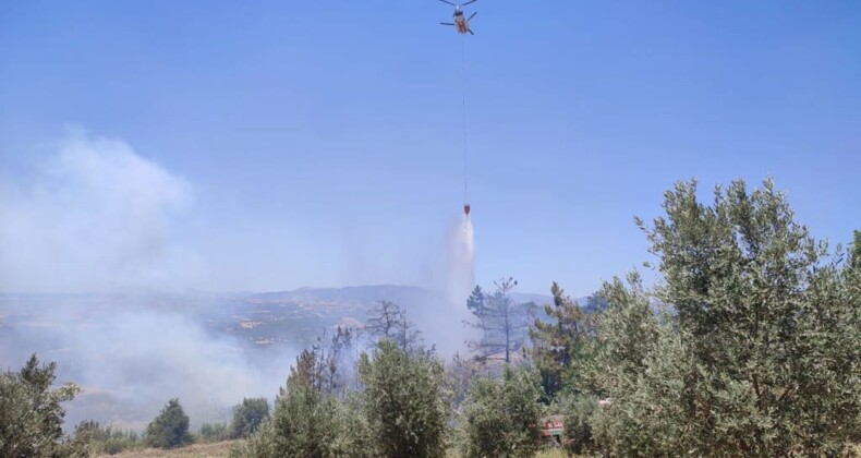 Mersin’de çıkan orman yangını kontrol altına alındı