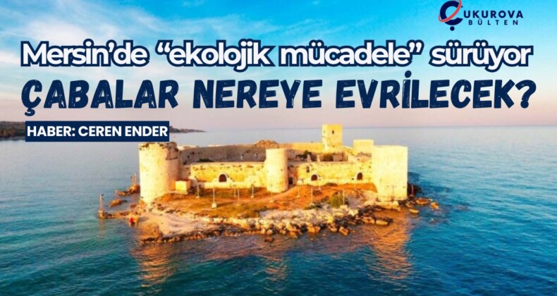 Mersin’de “ekolojik mücadele” sürüyor: Çabalar nereye evrilecek?