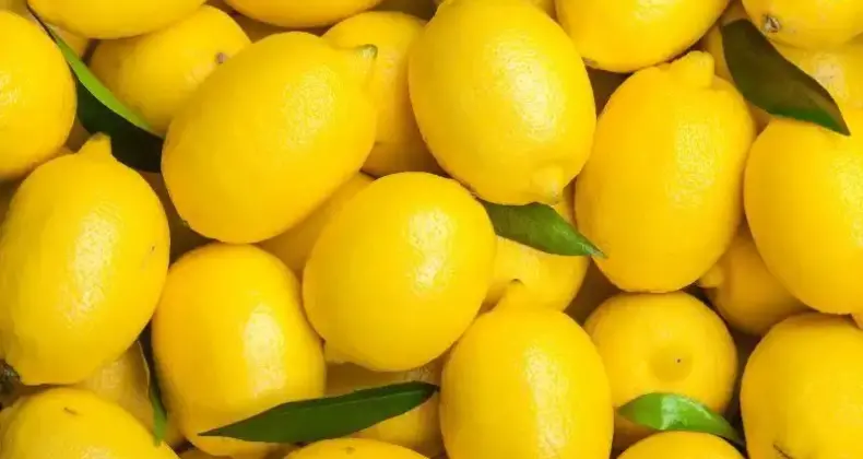 Limonda fahiş fiyatlar 40 gün daha sürecek