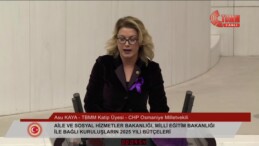 CHP’li Asu Kaya, “Cezasızlığı kural haline getirenlerin hazırladıkları bütçeyi reddediyoruz”