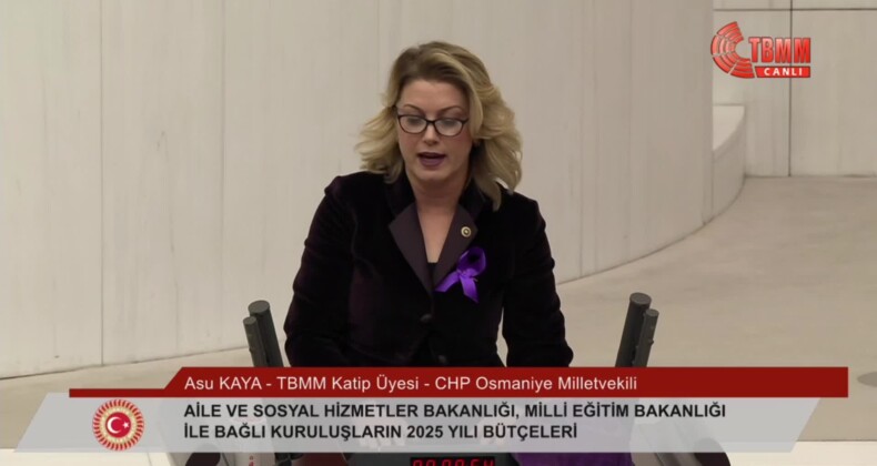 CHP’li Asu Kaya, “Cezasızlığı kural haline getirenlerin hazırladıkları bütçeyi reddediyoruz”