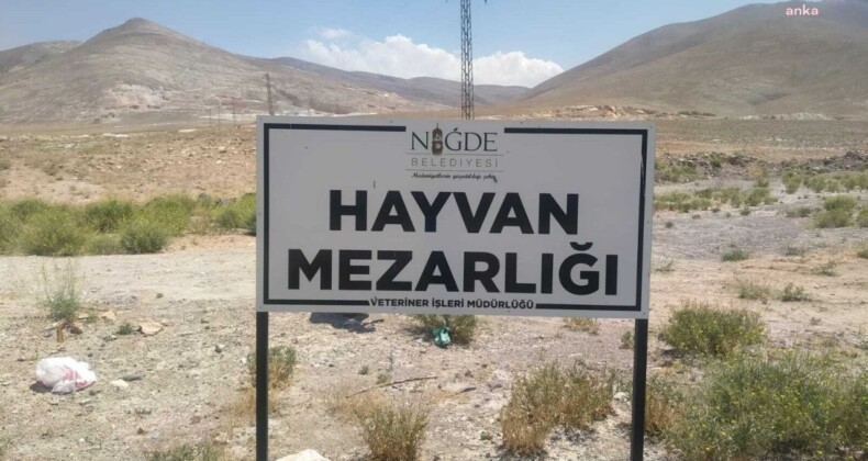 Niğde’de köpekleri katleden belediyeye soruşturma izni