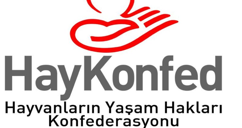 Hayvan Hakları Federasyonu’ndan Bakan Yerlikaya’ya: “Vebal altında kalmayın”